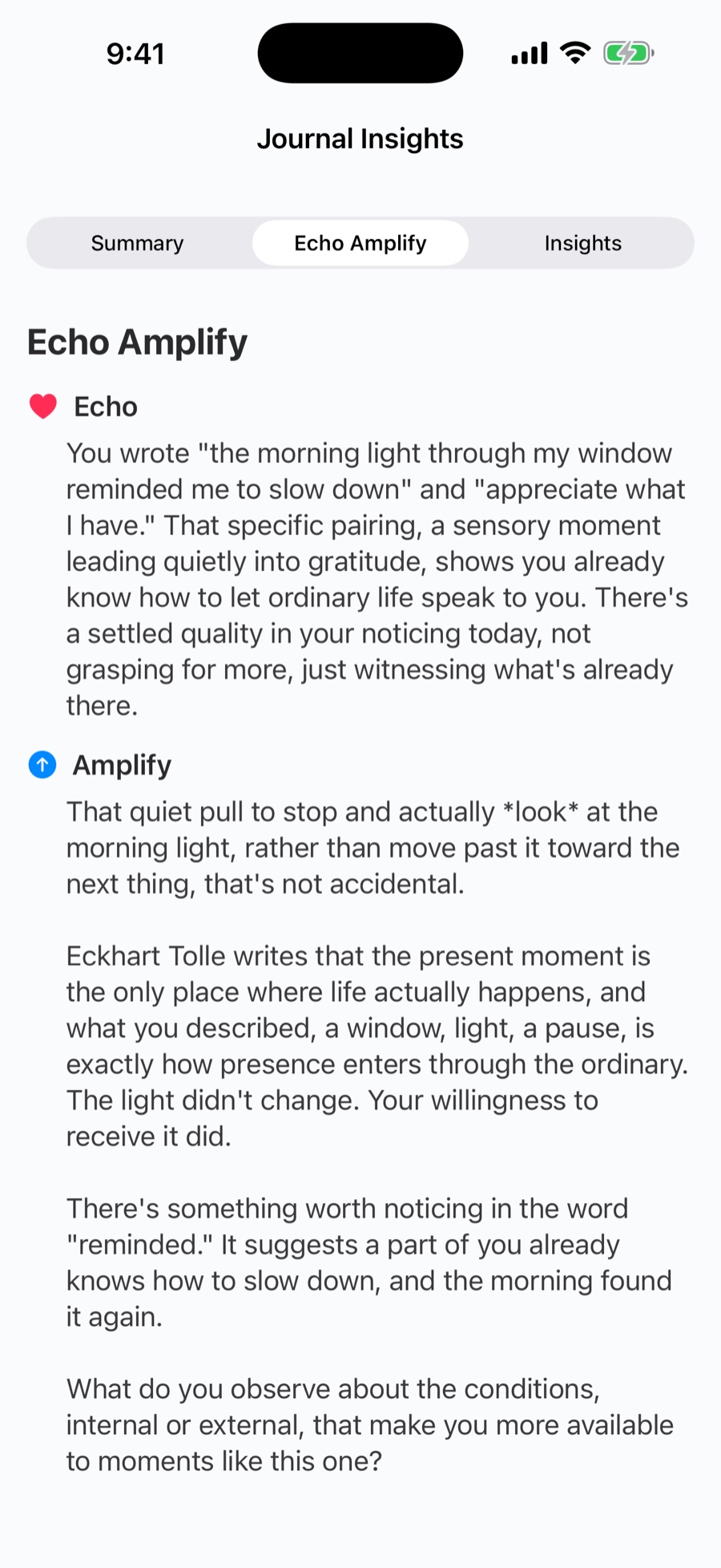 RTF Journal AI reflection: an Echo that mirrors the writer's words and an Amplify that offers a new perspective.