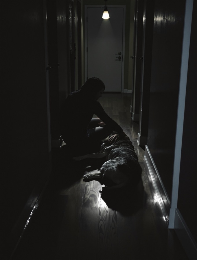 A figure crouched beside a dog in a dark hallway under a single lamp, a cinematic photograph RTF Journal generated from an entry about anticipatory grief.